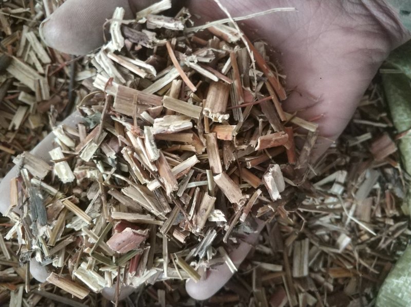 赶黄草货好量大大量有货需要大货提前联系