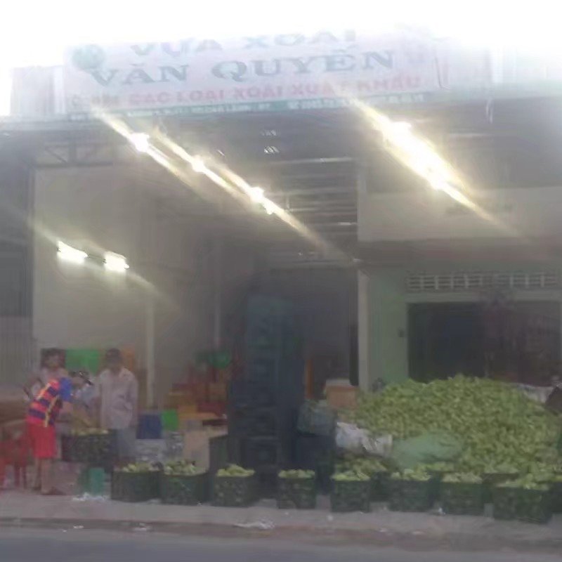 越南大青芒，9斤42块，包邮！批发，支持微商电商一件代发