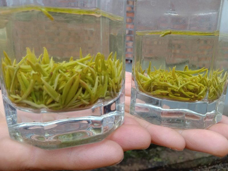 峨眉半身，高山绿茶