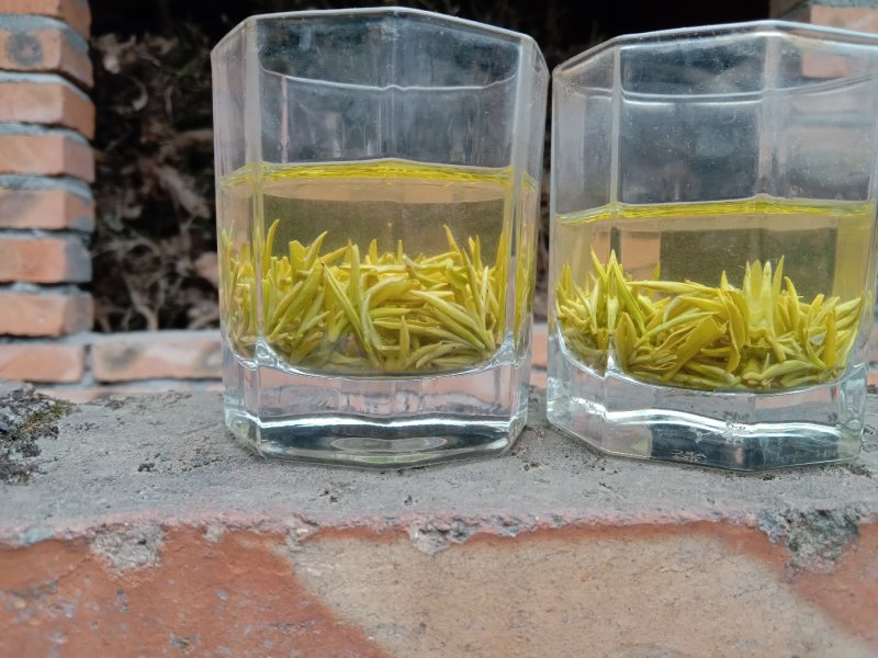 峨眉半身，高山绿茶