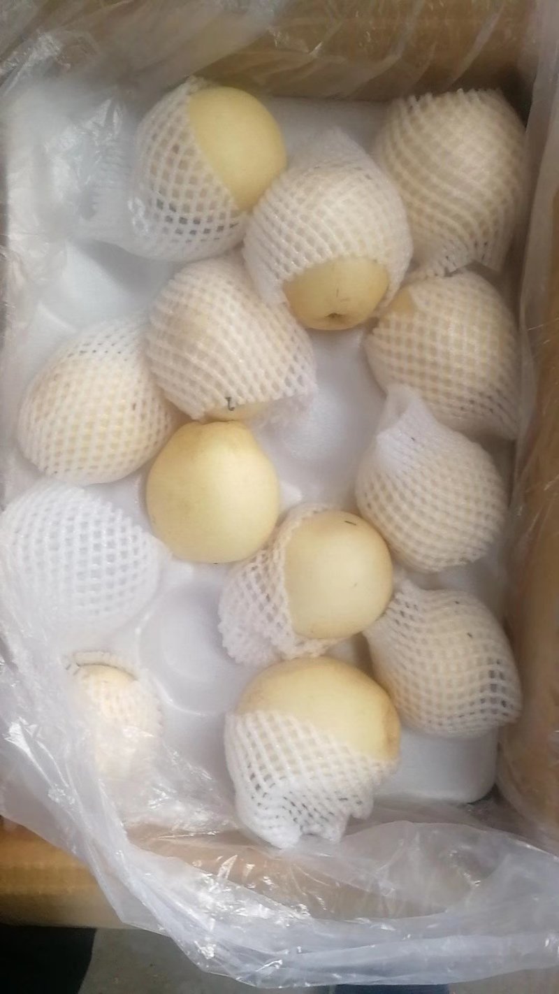 膜代皇冠