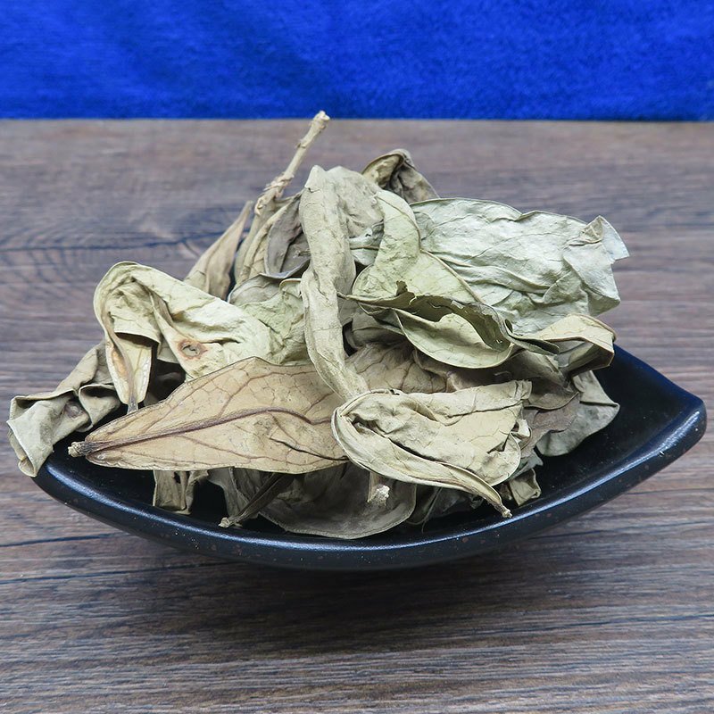 龙脷叶龙利叶龙舌叶牛耳叶中药材