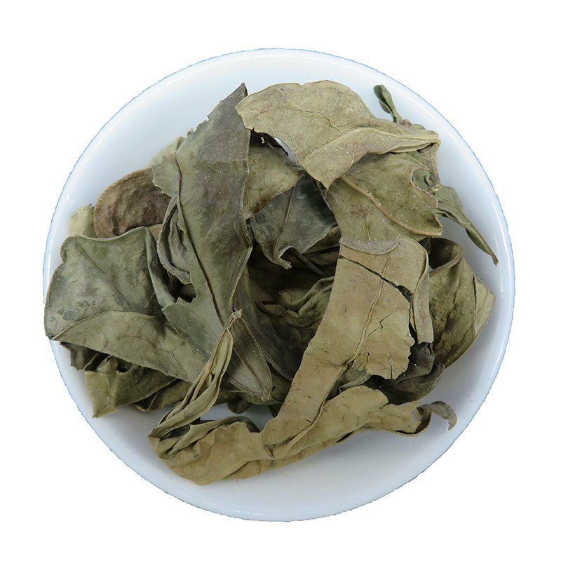 龙脷叶龙利叶龙舌叶牛耳叶中药材