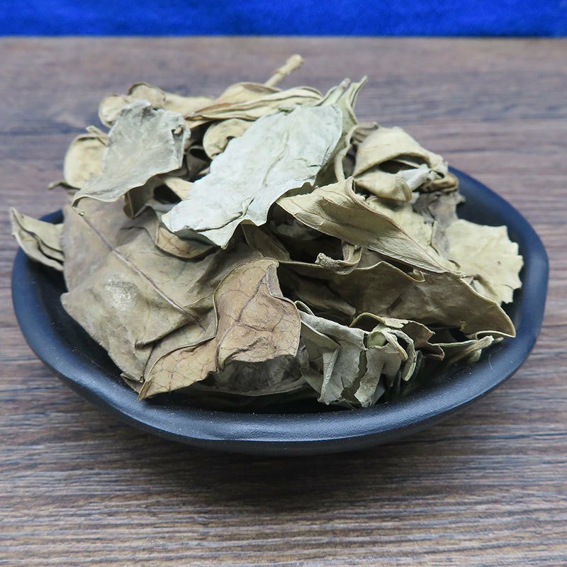 龙脷叶龙利叶龙舌叶牛耳叶中药材