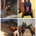 精品双血统马犬，犬舍繁育品种，色素好，咬口棒健康纯度有保