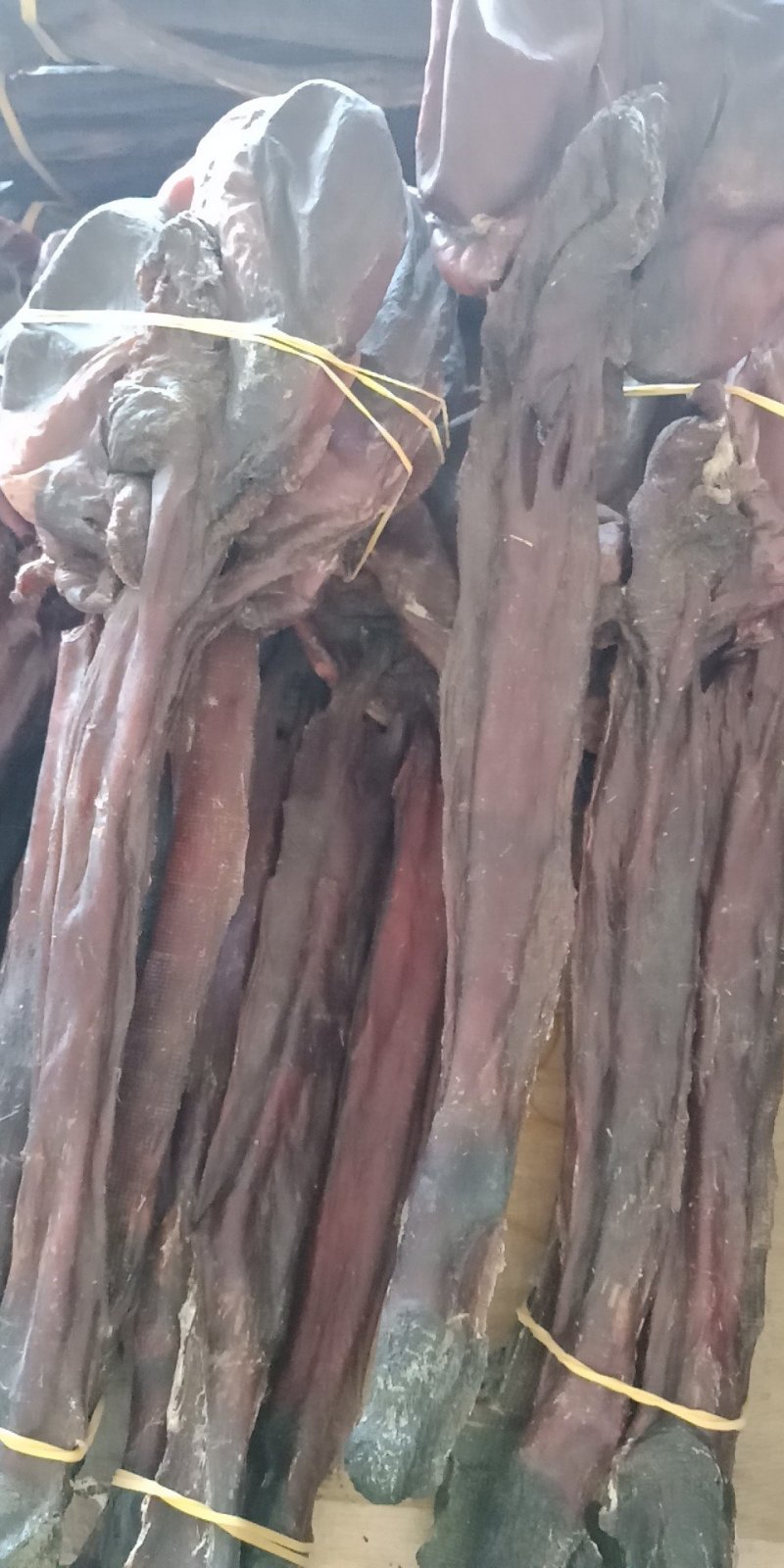 驴鞭干驴鞭泡酒干货批发零售各种规格中药材