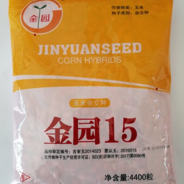 金园15玉米种子最新国审高产脱水快