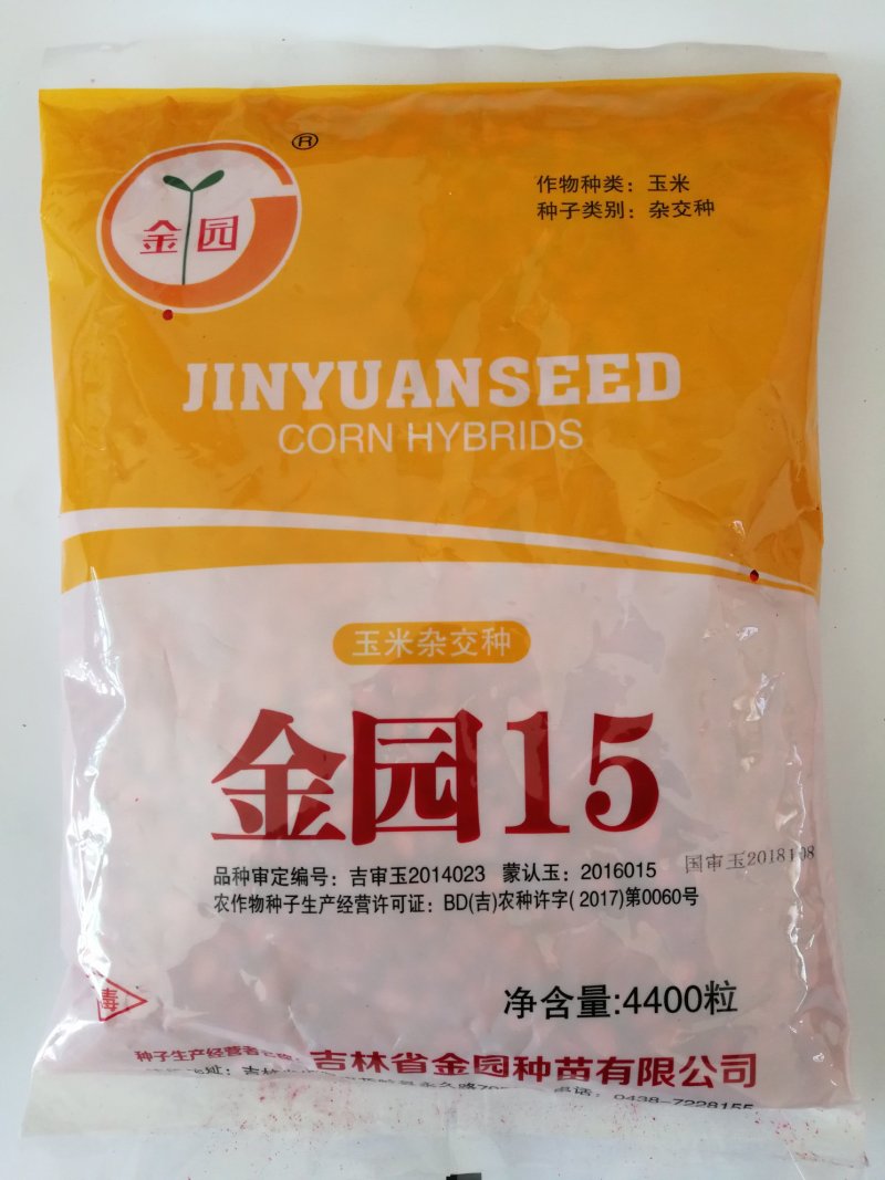 金园15玉米种子最新国审高产脱水快