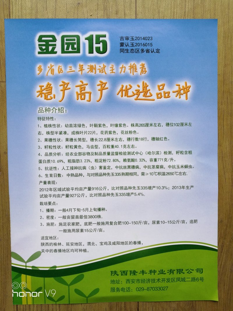金园15玉米种子最新国审高产脱水快