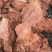 酱牛肉