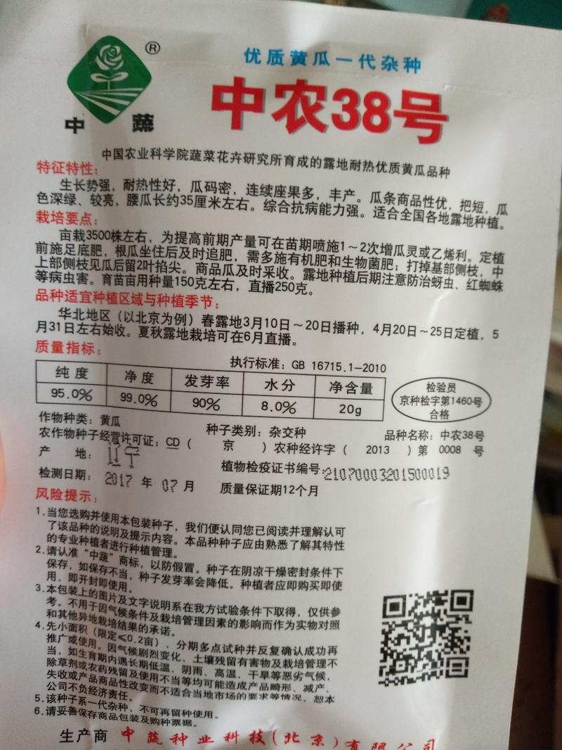 中农38号黄瓜种子抗病性强