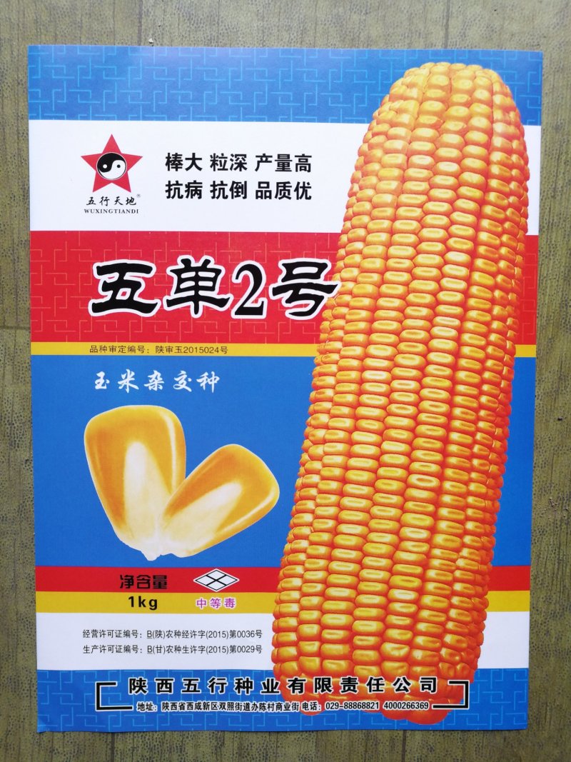 五单2号棒大高产抗病好抗倒伏