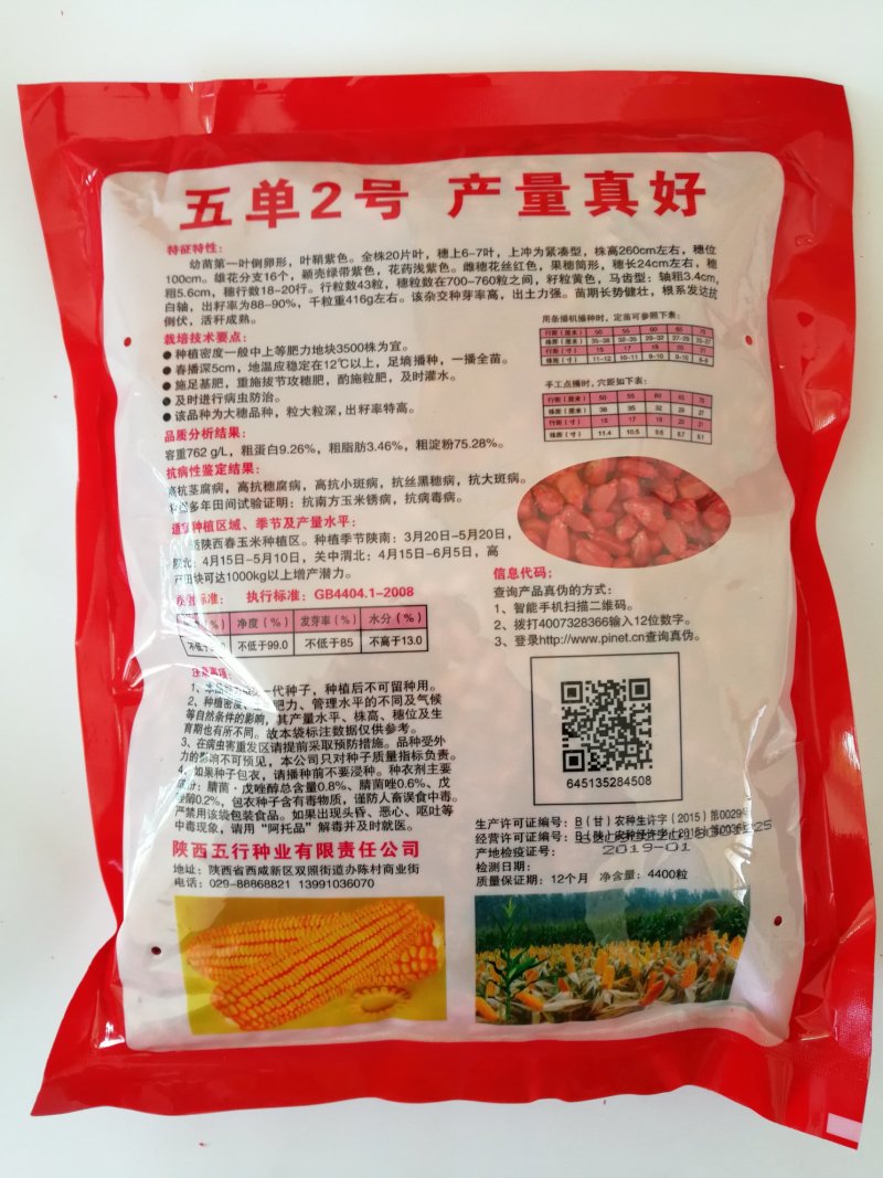 五单2号棒大高产抗病好抗倒伏