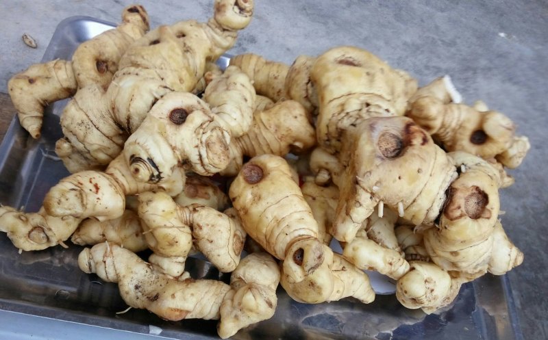 野生鸡头老黄精片（蒸晒干切片小包装，小批量）药食同源，