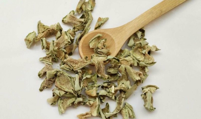 仙人掌凤尾竻龙舌神仙掌观音掌中药材