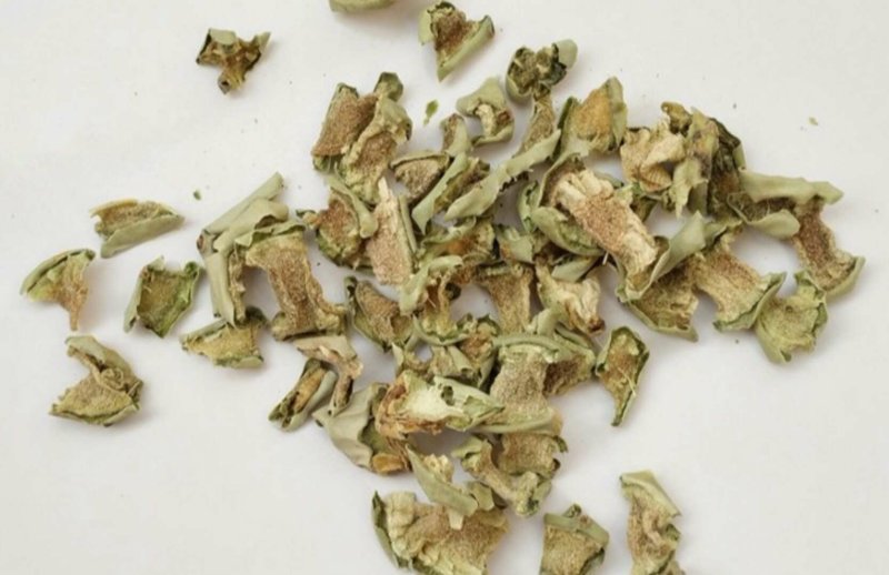 仙人掌凤尾竻龙舌神仙掌观音掌中药材