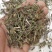 仙桃草水蓑衣英桃草小头红接骨仙桃中药材
