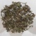 仙桃草水蓑衣英桃草小头红接骨仙桃中药材
