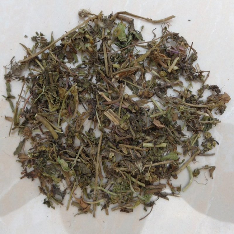 仙桃草水蓑衣英桃草小头红接骨仙桃中药材