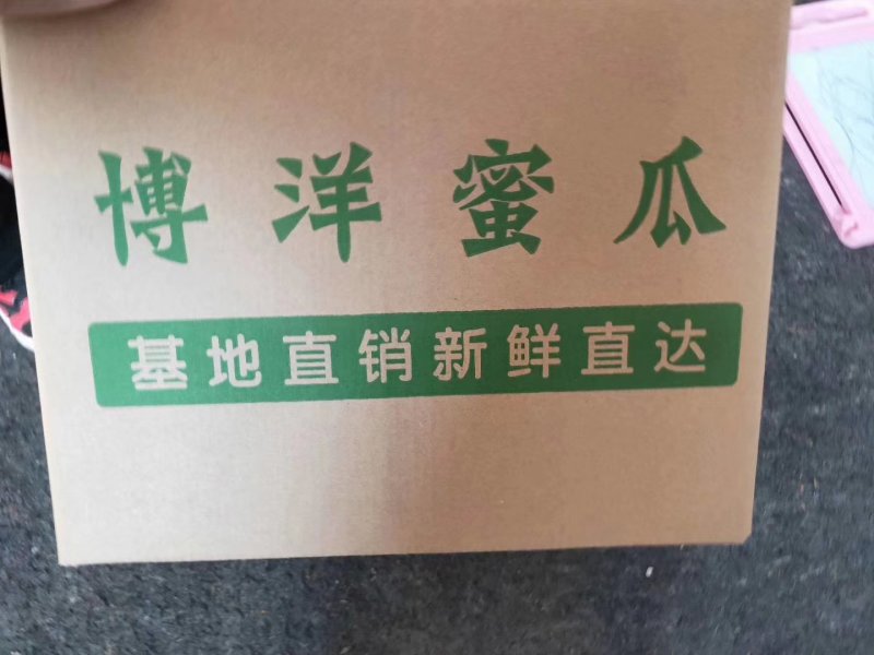 甜瓜，香瓜，博洋六一，脆甜爽囗，大量上市.