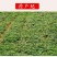 红薯粉，3.3
