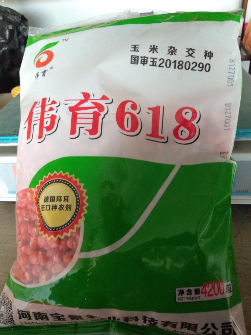 玉米种秋乐368/2017年国审品种