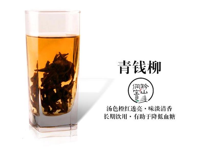 贵州高山茶青钱柳茶降糖神茶