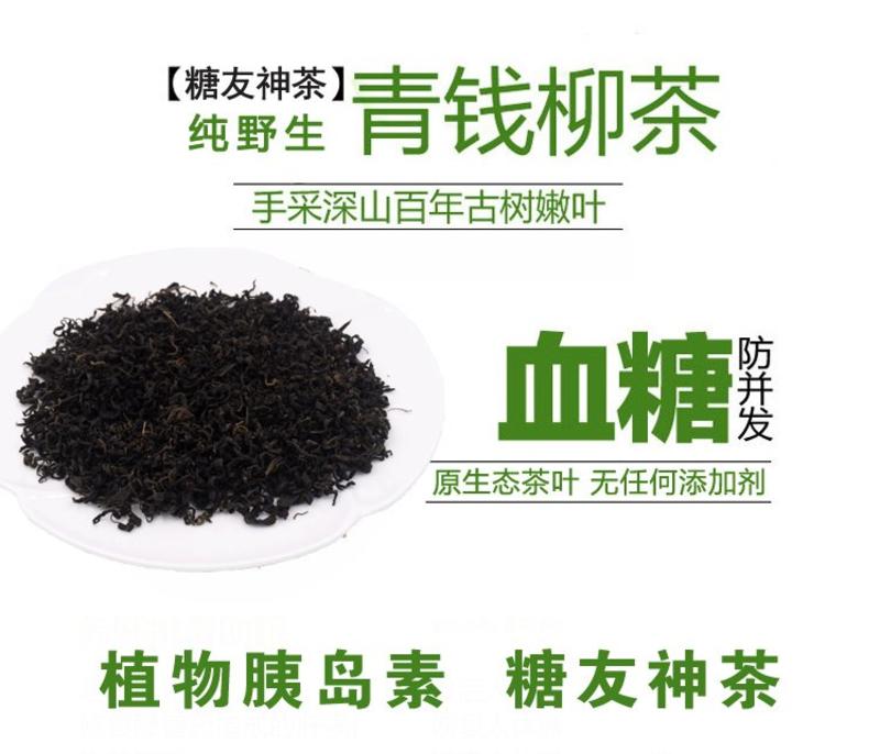 贵州高山茶青钱柳茶降糖神茶