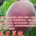 黑桃皇后嫁结苗品种保证