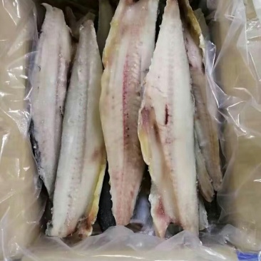 鲅鱼片，大片，质优价廉，