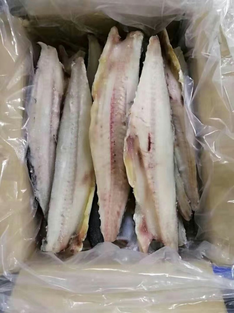 鲅鱼片，大片，质优价廉，