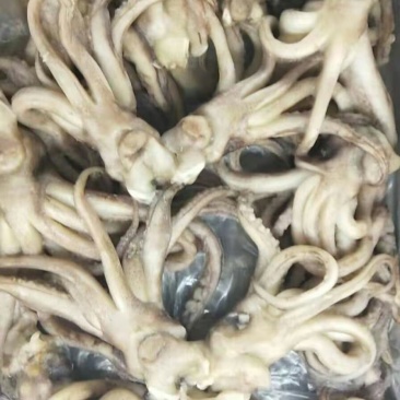鱿鱼头，全规格，质优价廉