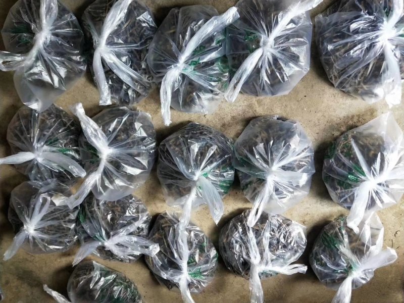 【地龙】优质蚯蚓干一手货源品质保证全国发货