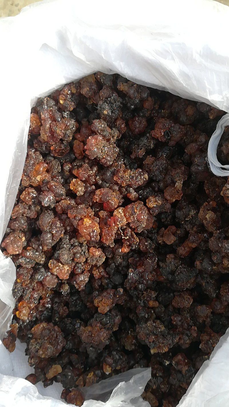 桃胶统货