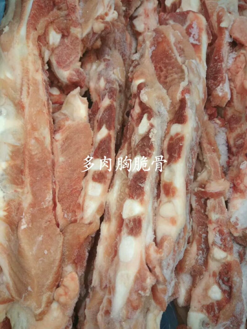 胸脆骨
