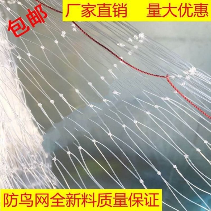 尼龙防鸟网围网渔网白色防护果园网销售按斤鱼塘稻谷虾池泥鳅