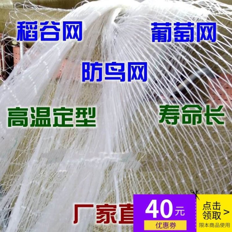 尼龙防鸟网围网渔网白色防护果园网销售按斤鱼塘稻谷虾池泥鳅