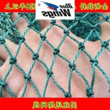 塑料家禽养殖山鸡养鸡网拦鸡围网防鸟网护栏瓜果爬藤网鱼