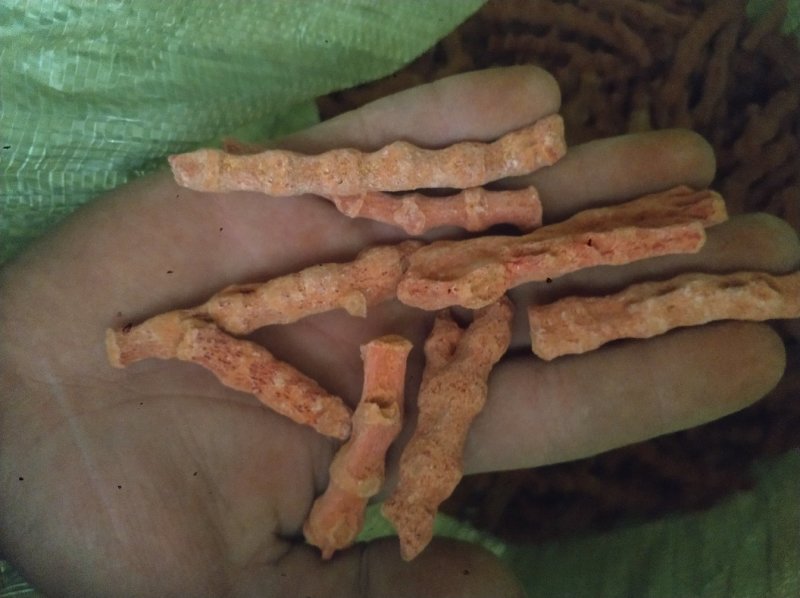 珊瑚菌，珊瑚，海底柏，草珊瑚货好产地广东
