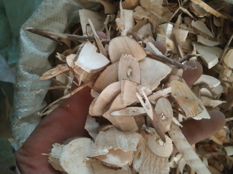臭梧桐根，臭梧桐统货需要请下单量大优惠