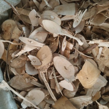 臭梧桐根，臭梧桐统货需要请下单量大优惠