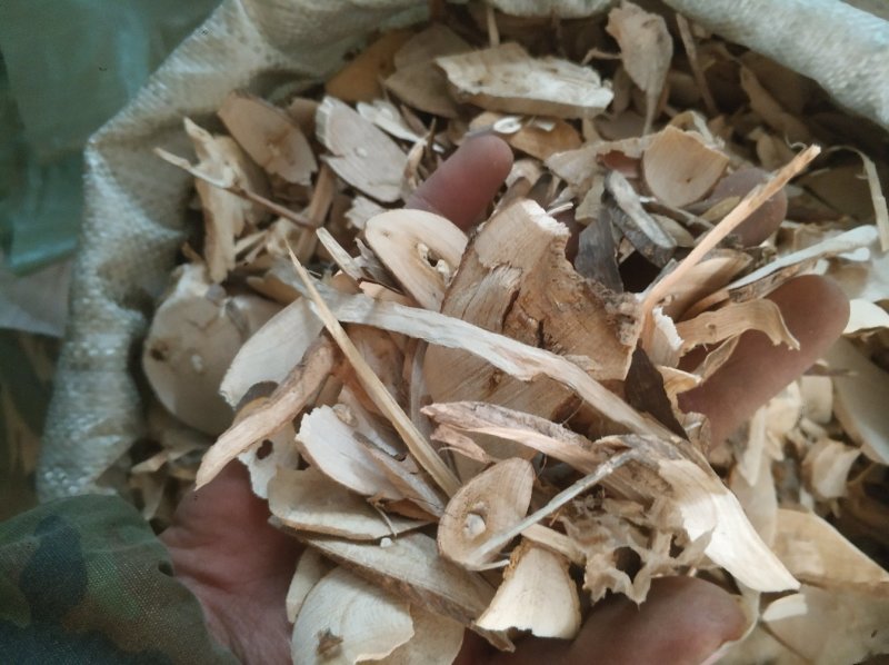 臭梧桐根，臭梧桐统货需要请下单量大优惠