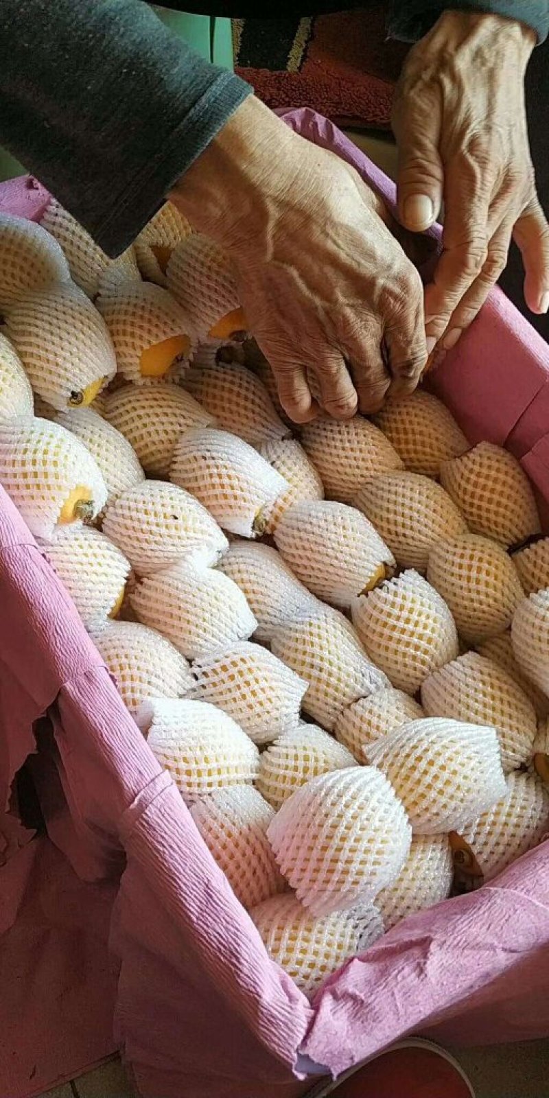 正宗农家枇杷膏