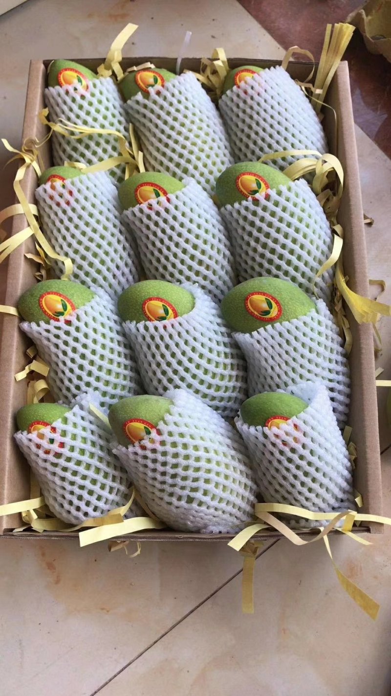 海南金煌芒果