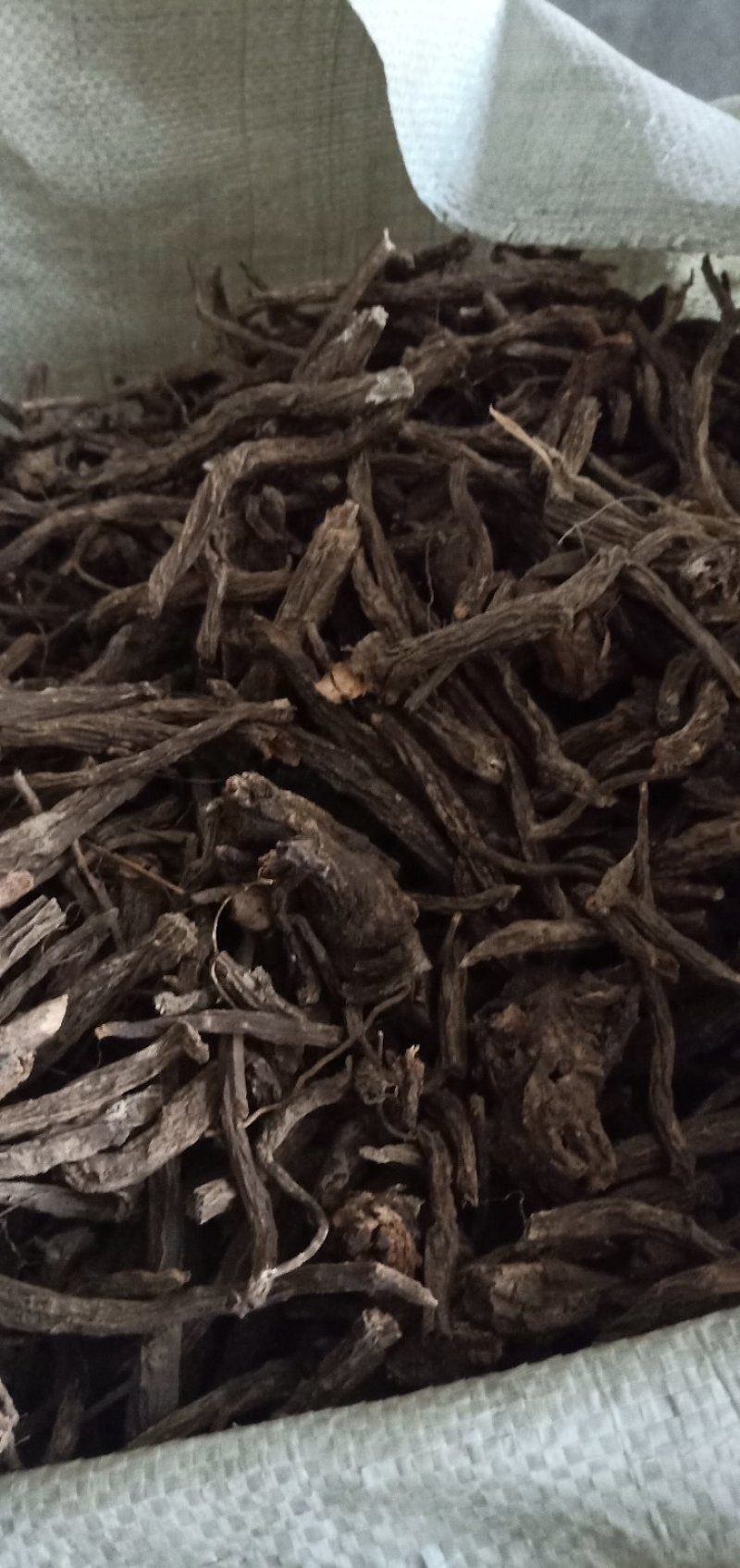 中药材续断