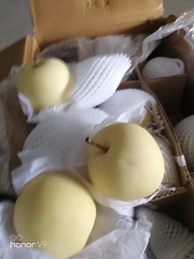 膜代皇冠