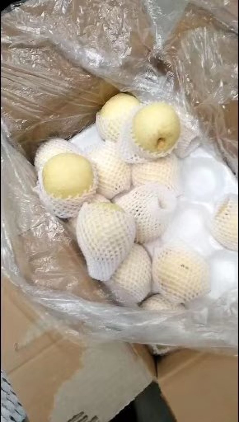 膜代皇冠