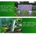 潍县青萝卜,下地开拔,无代办费,人工费用全免!