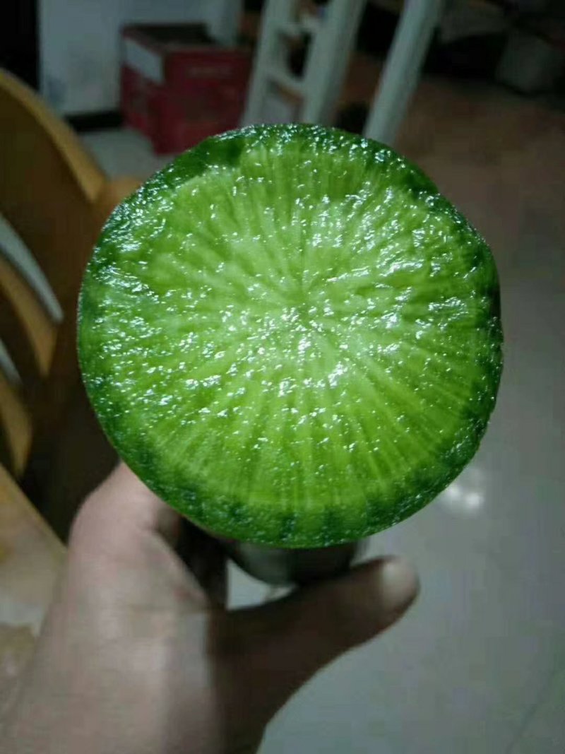 潍县青萝卜，无代办费，下地看货，青茬口感脆甜！
