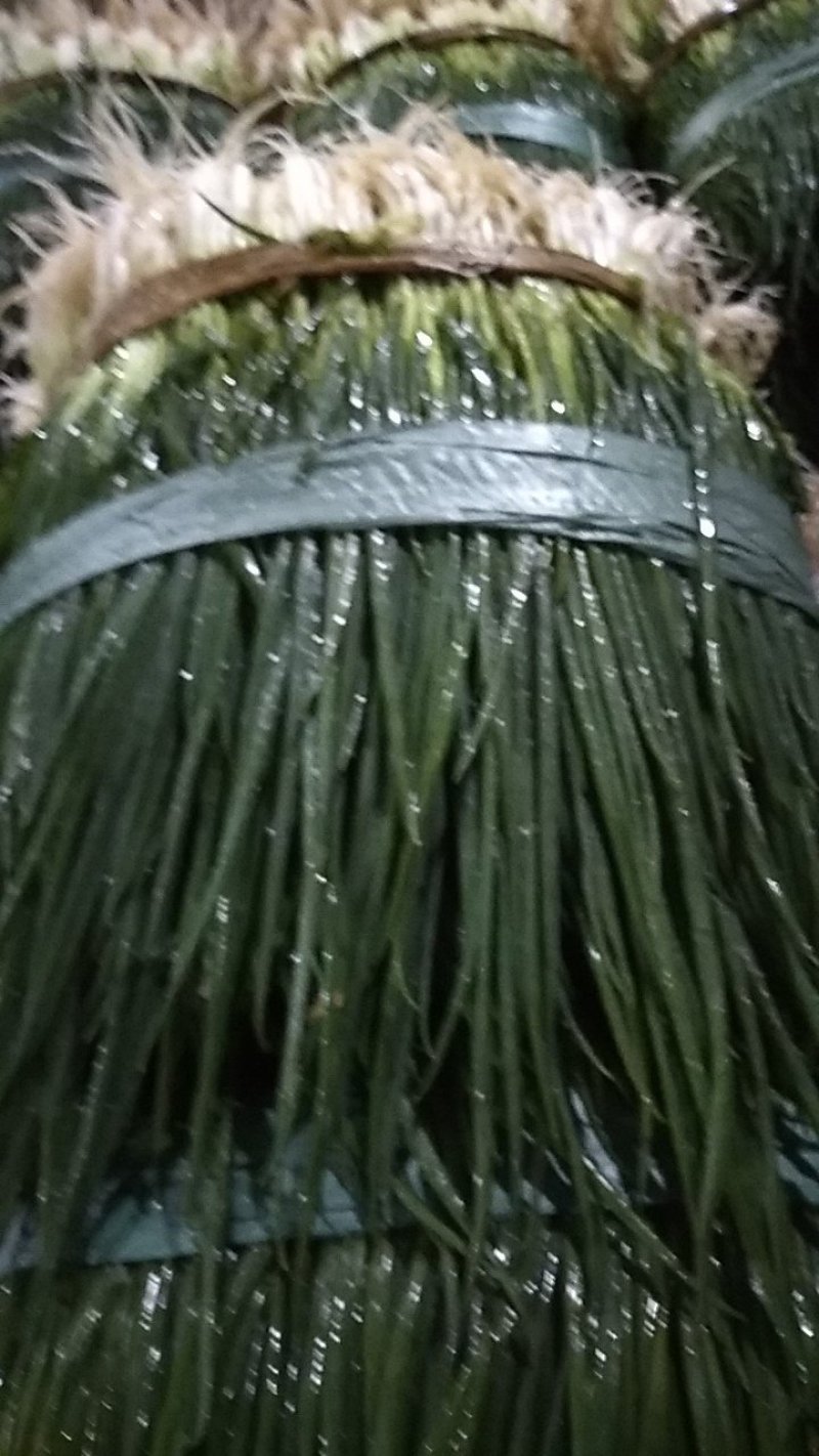 小葱！